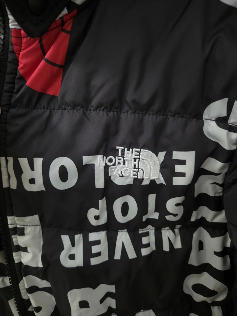 The North Face north face